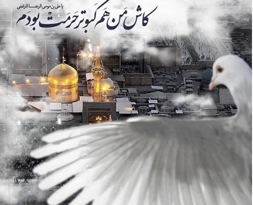 عکس برای وضعیت امام رضا