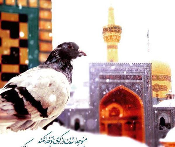 عکس برای وضعیت امام رضا