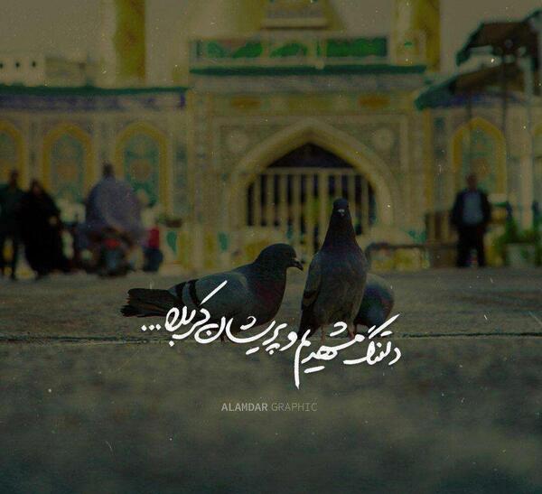 عکس برای وضعیت امام رضا