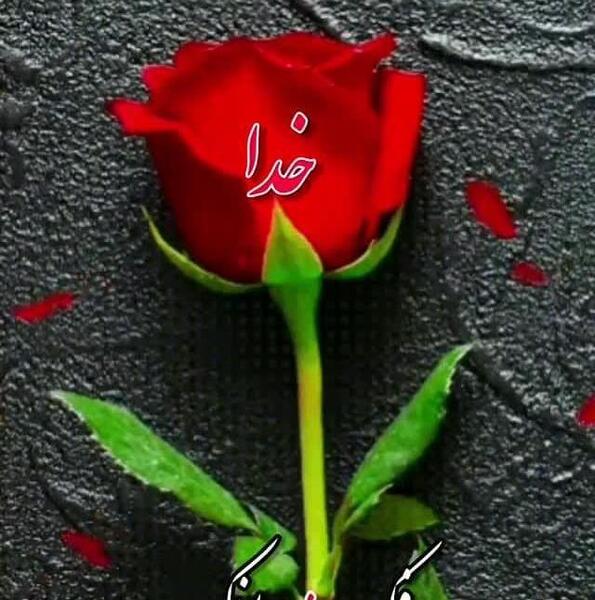 عکس زیبا برای وضعیت