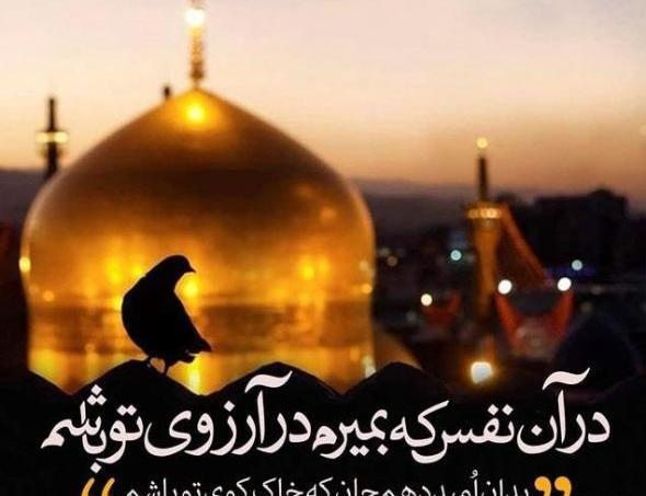 عکس وضعیت شهادت امام رضا