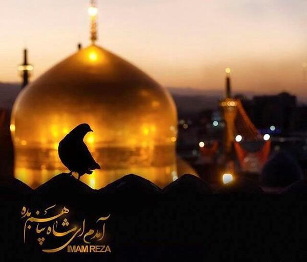 عکس وضعیت شهادت امام رضا