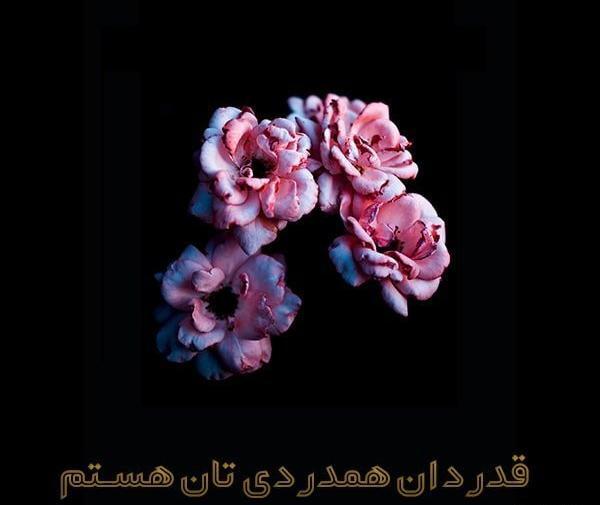 عکس استیکر خیلی ممنون
