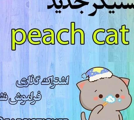 عکس های استیکر گربه