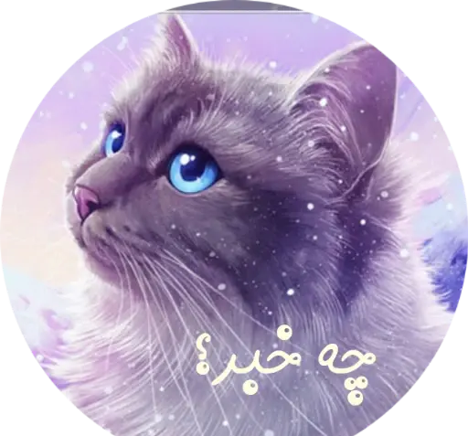 عکس های استیکر گربه