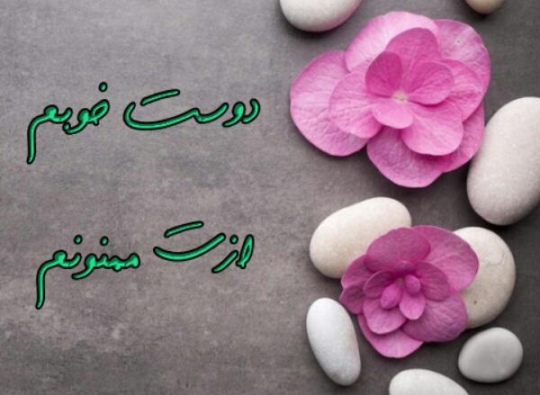 عکس استیکر ممنون گلم