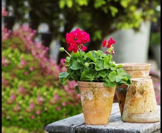 عکس خانه های زیبا برای پروفایل