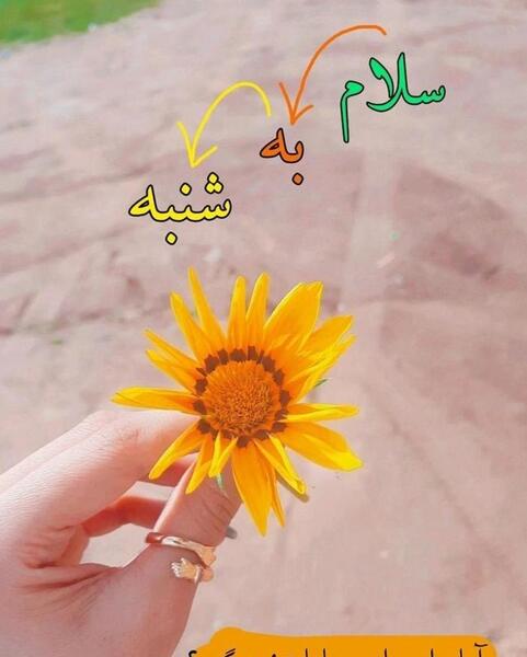 عکس و استیکر صبح بخیر