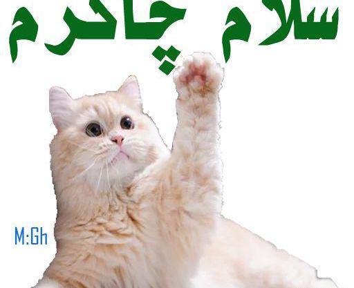 دانلود عکس استیکر سلام