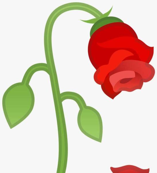 عکس استیکر گل برای واتساپ