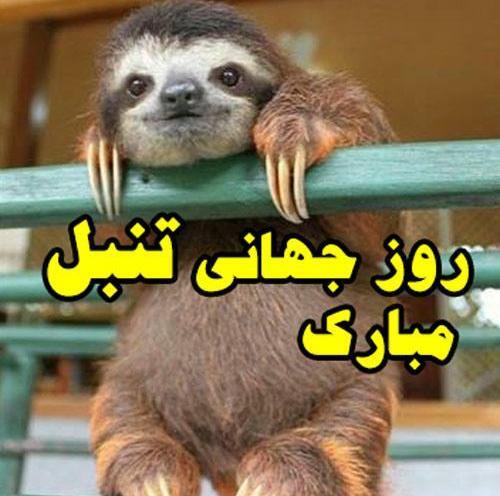 عکس استیکر ادم تنبل