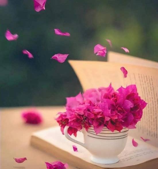 عکس گل استیکری