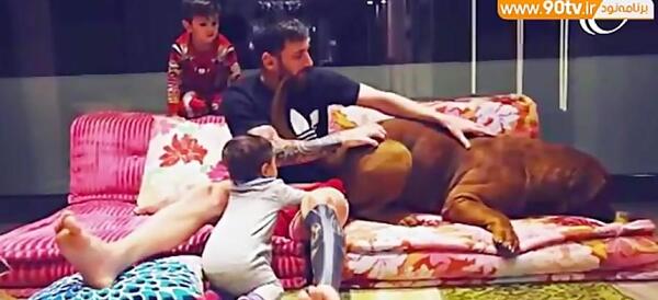 عکس از خانه لیونل مسی