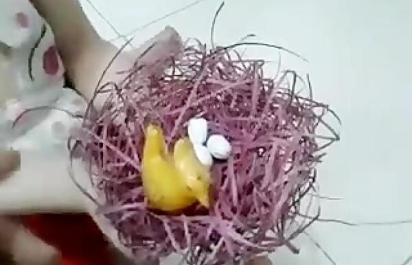 عکس لانه گنجشک روی درخت