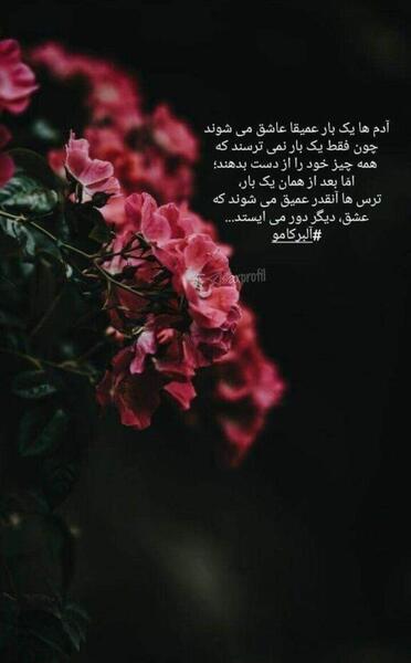عکس استوری باحال و جذاب