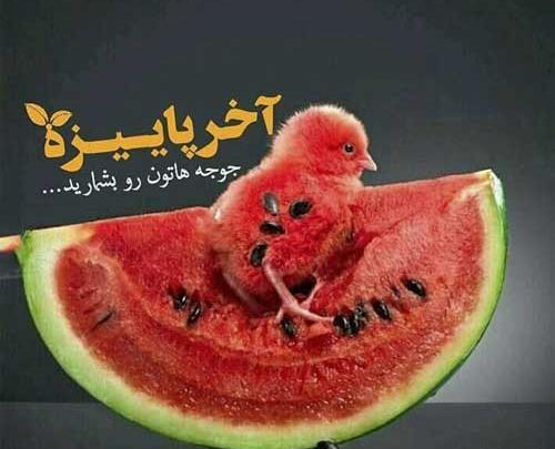 عکس استوری یلدا مبارک