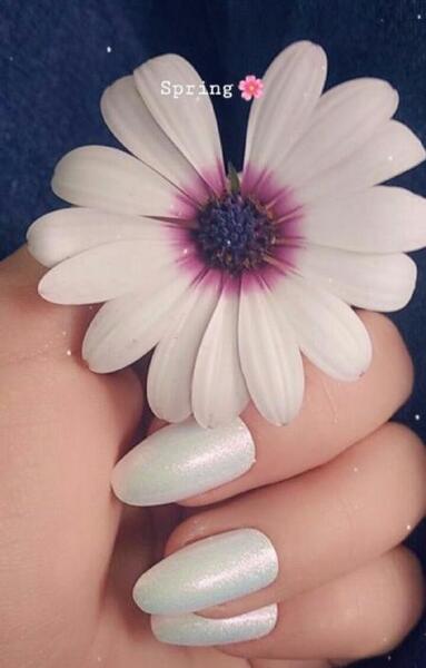 عکس استوری گلهای زیبا