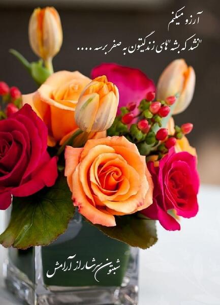 عکس استوری گلهای زیبا