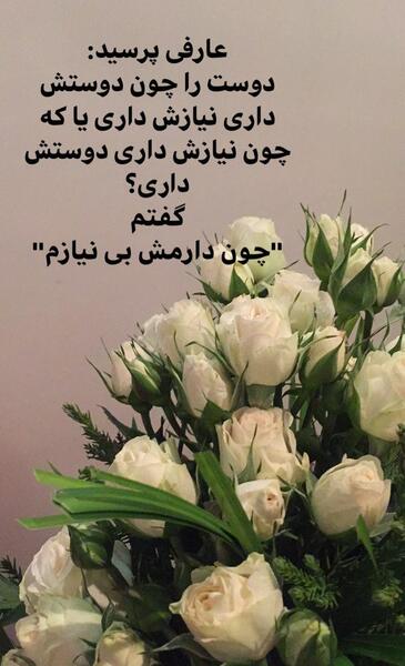 استوری عکس گل زیبا