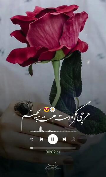 استوری عکس گل زیبا