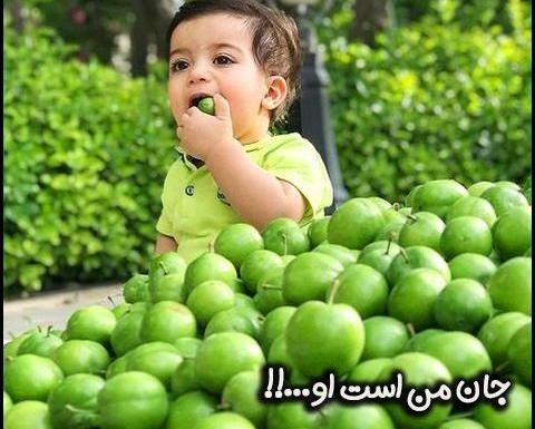 عکس گوجه سبز برای استوری