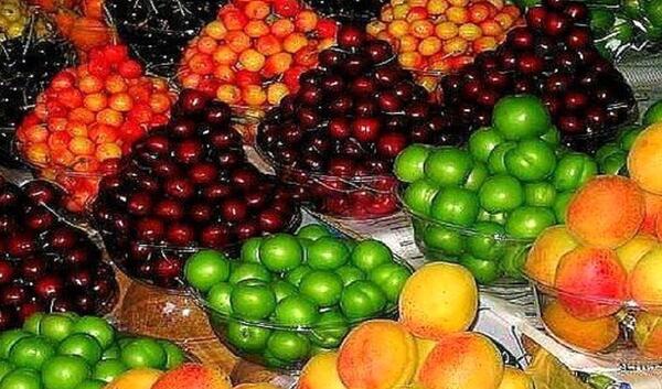 عکس گوجه سبز برای استوری
