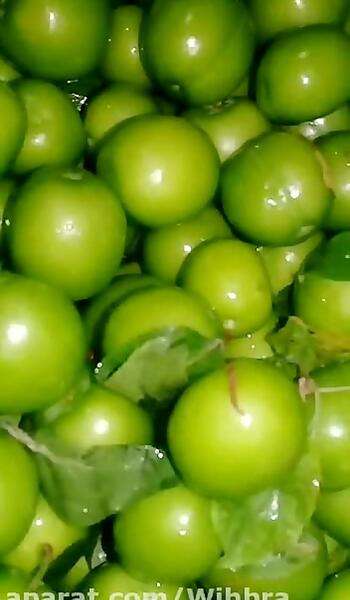 عکس گوجه سبز برای استوری