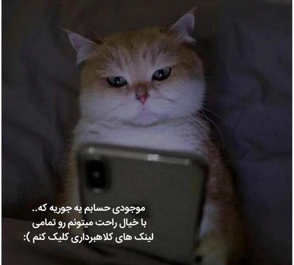 متن برای استوری عکس گربه