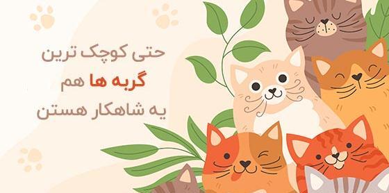متن برای استوری عکس گربه