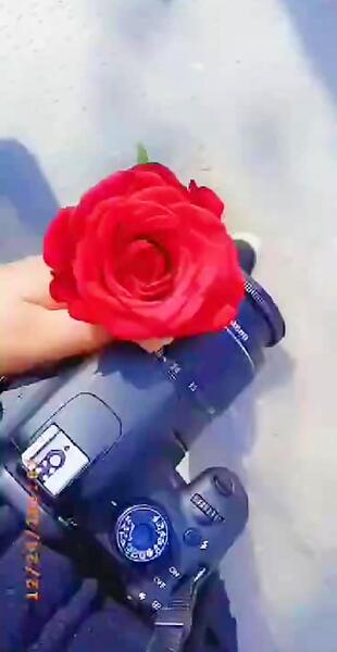 عکس گل استوری فیک