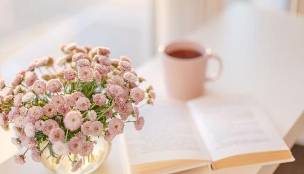 استوری عکس گل برای پروفایل شاد