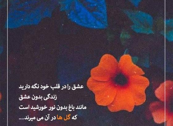 متن برای استوری عکس گل