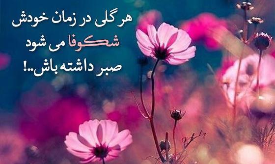 متن برای استوری عکس گل