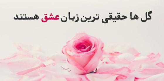 متن برای استوری عکس گل