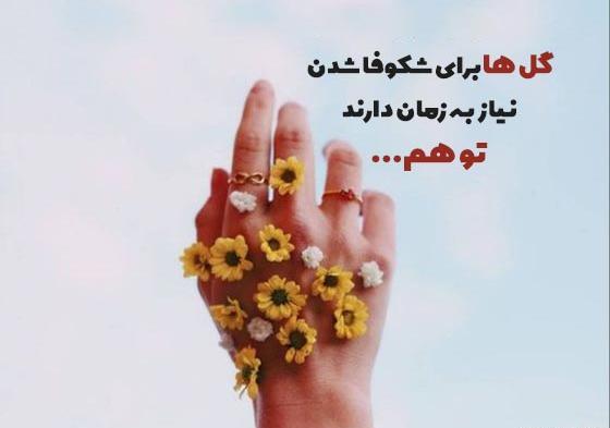 متن برای استوری عکس گل