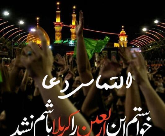عکس استوری زائر کربلا