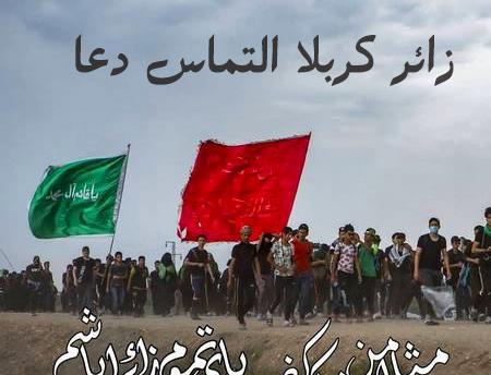عکس استوری زائر کربلا