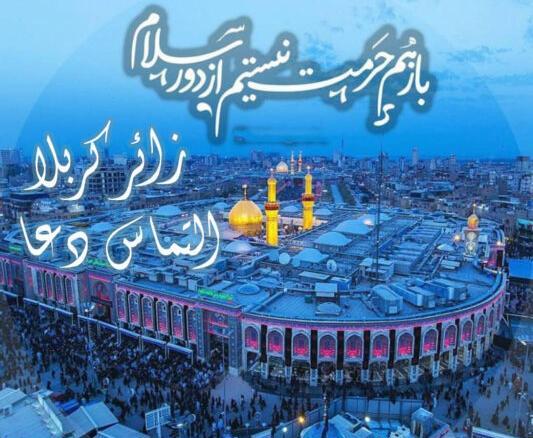 عکس استوری زائر کربلا