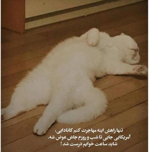عکس فان استوری