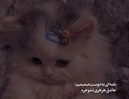 عکس فان استوری