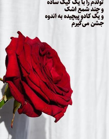 استوری عکس کادو طبیعی