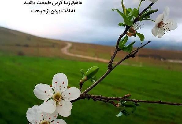 متن برای استوری عکس طبیعت