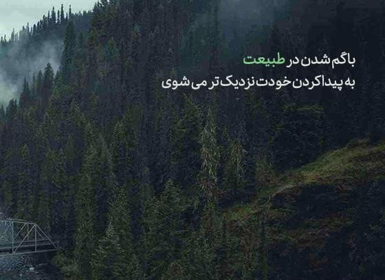 متن برای استوری عکس طبیعت