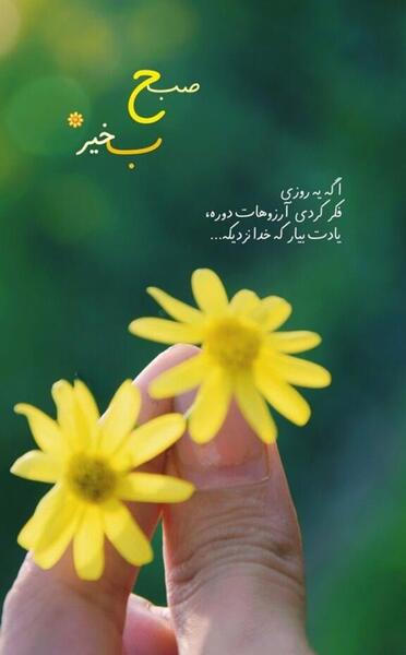 عکس استوری صبح بخیر