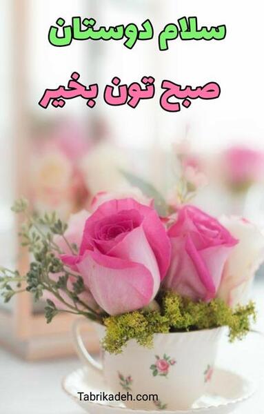عکس صبح بخیر برای استوری