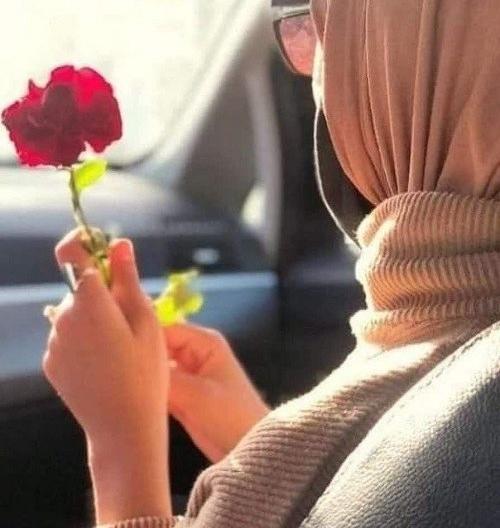 عکس گل زیبا برای استوری واتساپ