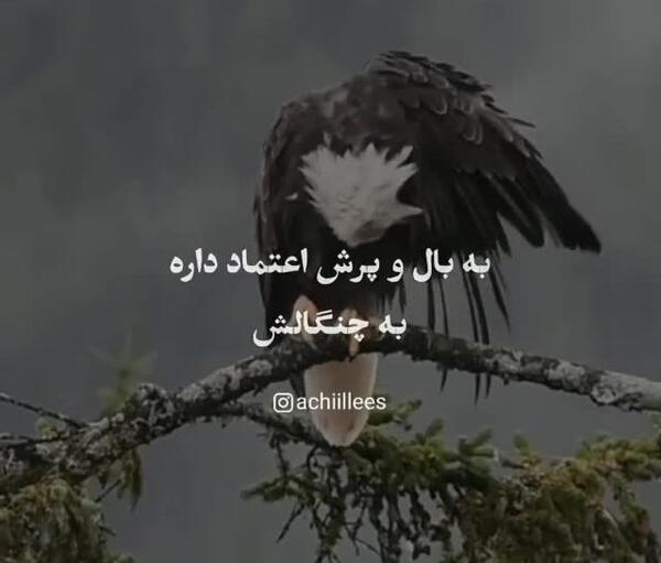 عکس برای استوری روبیکا پسرانه خفن