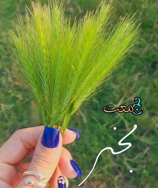 عکس استوری جمعه مبارک