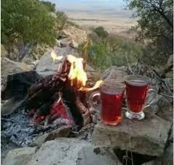 متن برای استوری عکس چایی