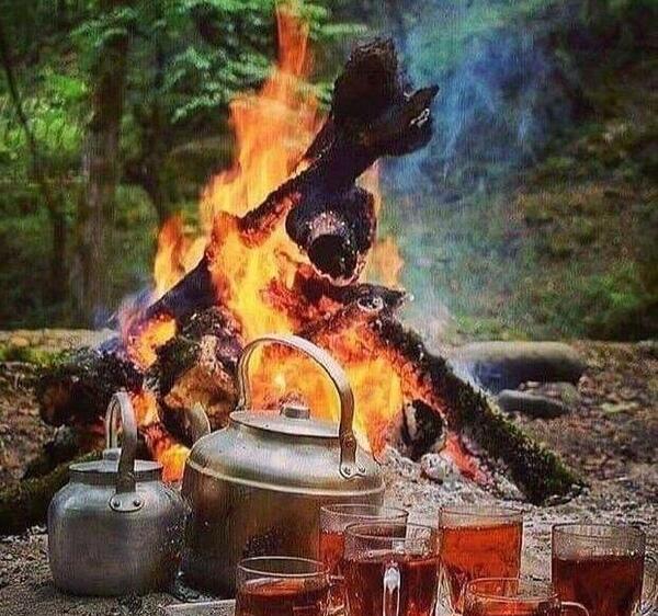 متن برای استوری عکس چایی